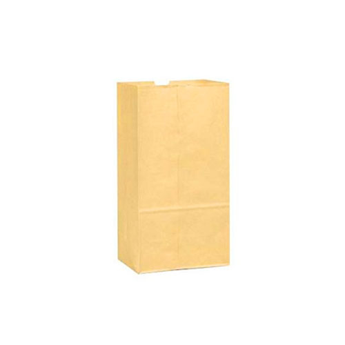 Bag Paper 5lb Kraft 500/pk  118405