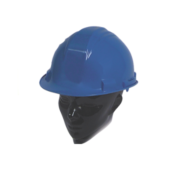 Hard Hat Head Protection (1/ea)
