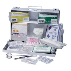 25 Person First Aid Kit (1/ea )