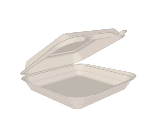 9&quot; Square Bagasse Hinged  Container (200/cs)